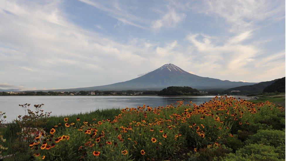 Picture taken on 16 June 2013 showing Mount Fuji and Lake Kawaguchi.