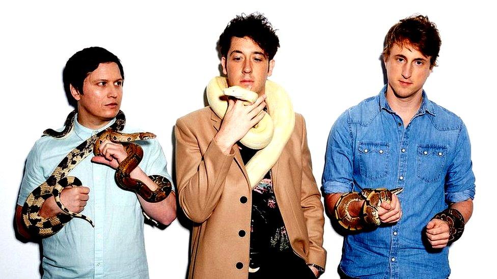 The Wombats