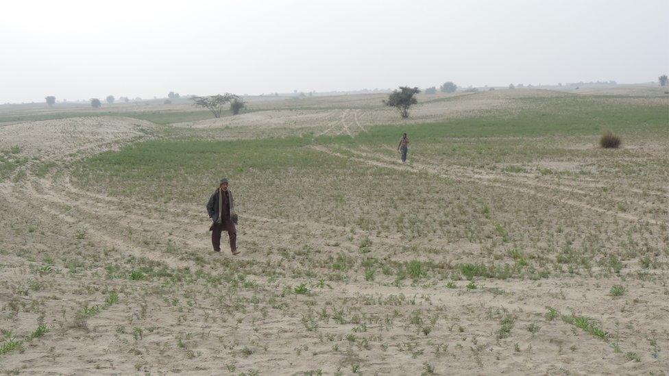 SUV marks are left on the landscape of a field