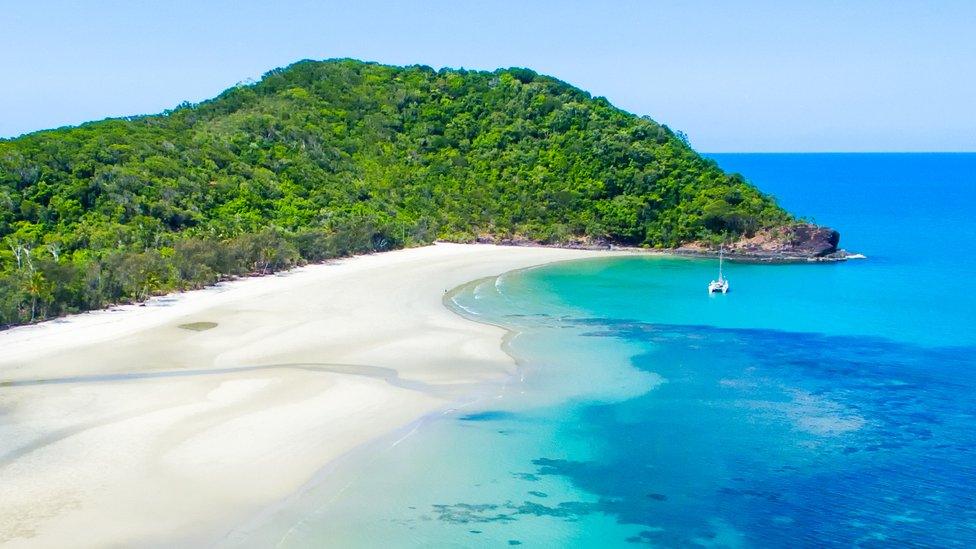 A beach at Cape Tribulation at the edge of the Daintree rainforest