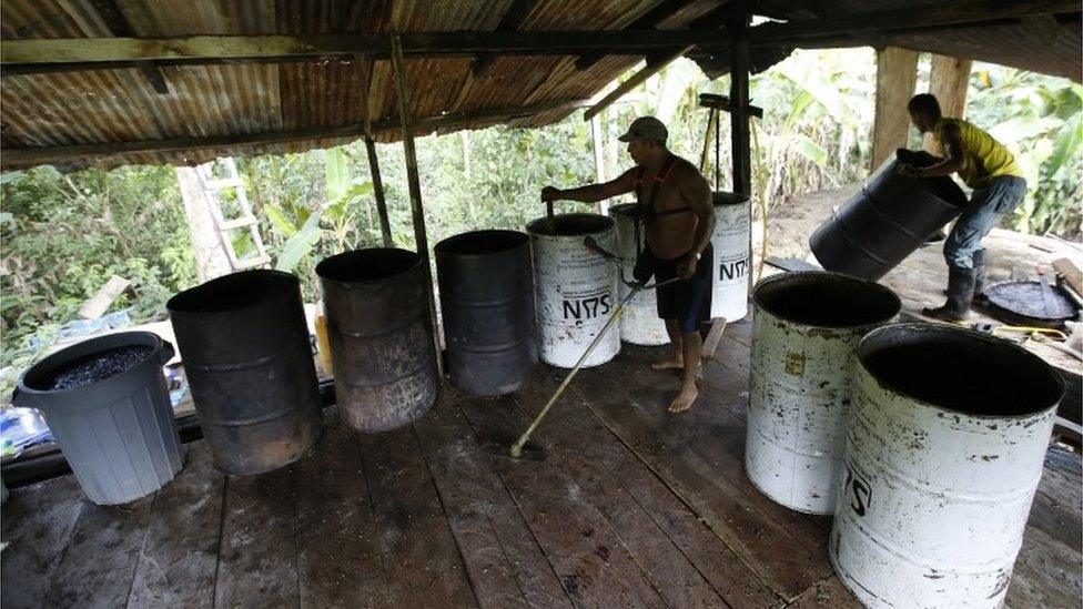 Workers manning barrels with a mix of mulched coca leaves and chemicals as part of the process to make coca base in the southern Colombia (03/03/2017)