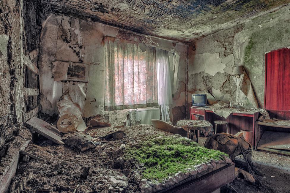 Mould and plants in abandoned bedroom - grass is growing on the bed