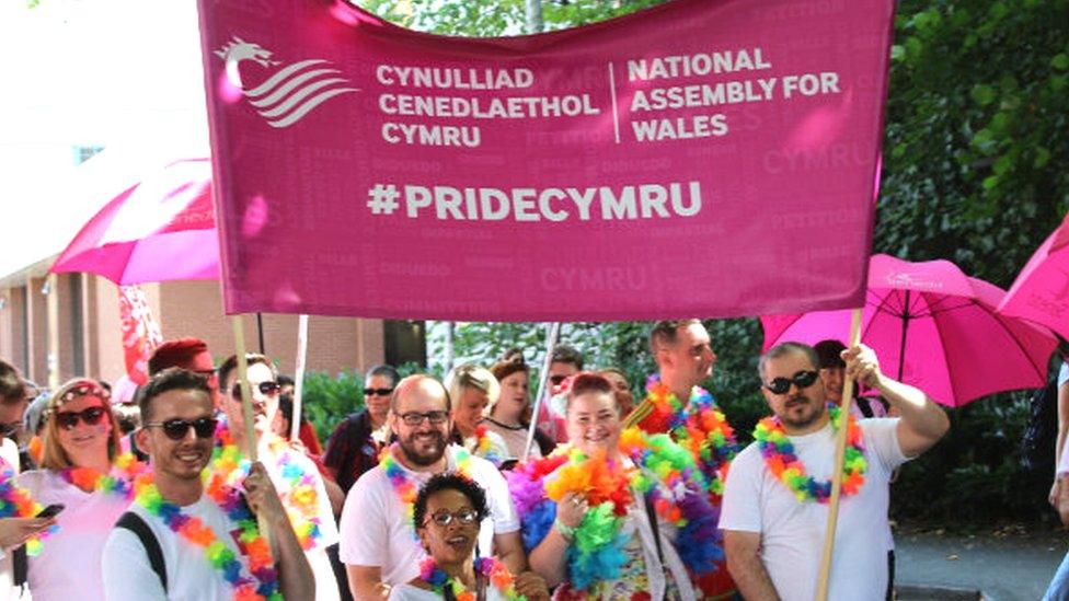 Welsh Assembly banner at the Pride Cymru march