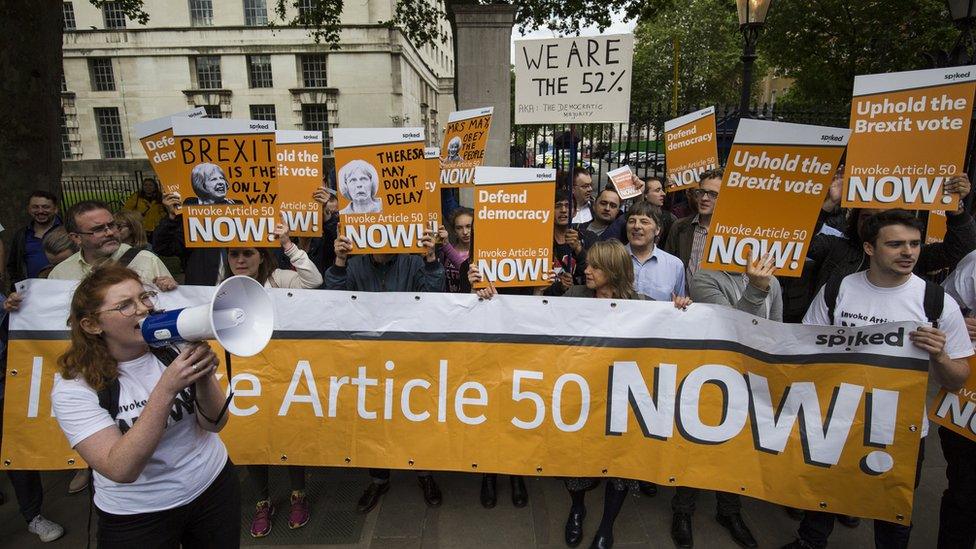 Article 50 protesters