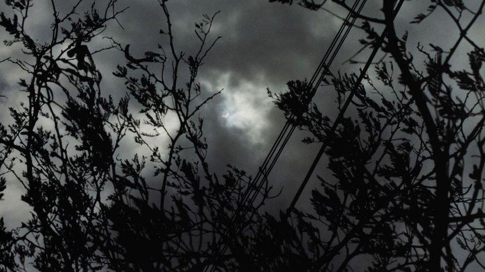 Wolfgang Tillmans, Eclipse