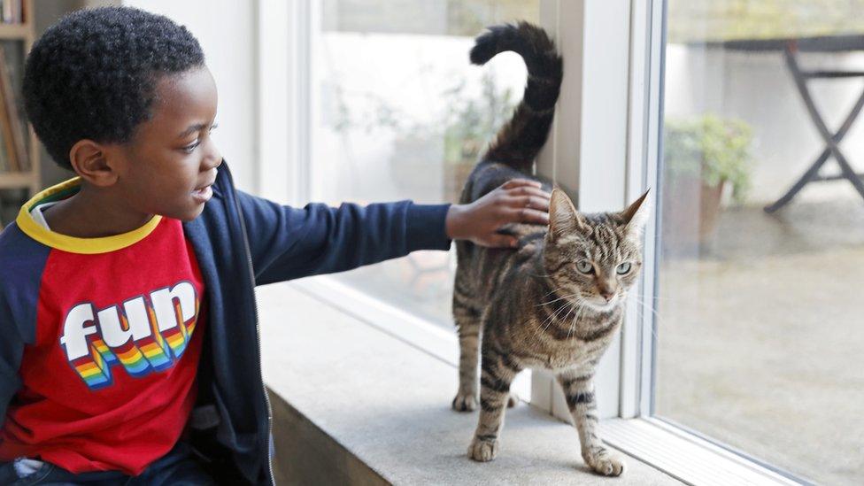 boy-strokes-tabby-cat-on-windowsill