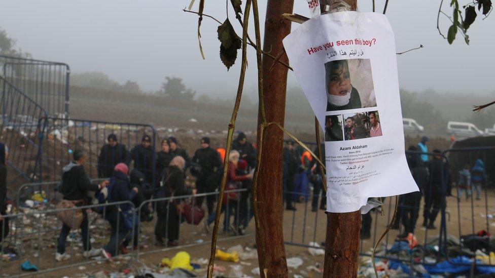 A poster on a tree