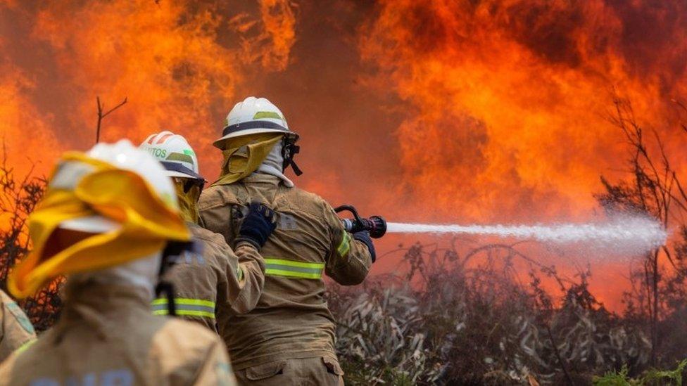 Portuguese Republican National Guard soldiers battle with a forest fire in Capela Sao Neitel, Alvaiazere, central Portugal, 18 June 2017.