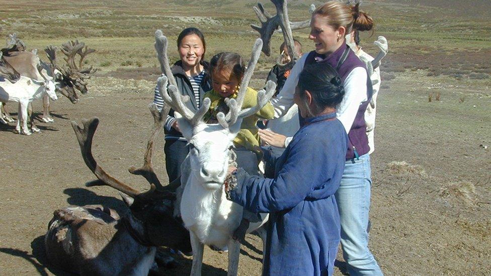 White reindeer in Mongolia