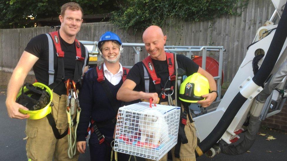 Oreo the kitten, RSPCA officer Kate Wright and Bedfordshire firefighters