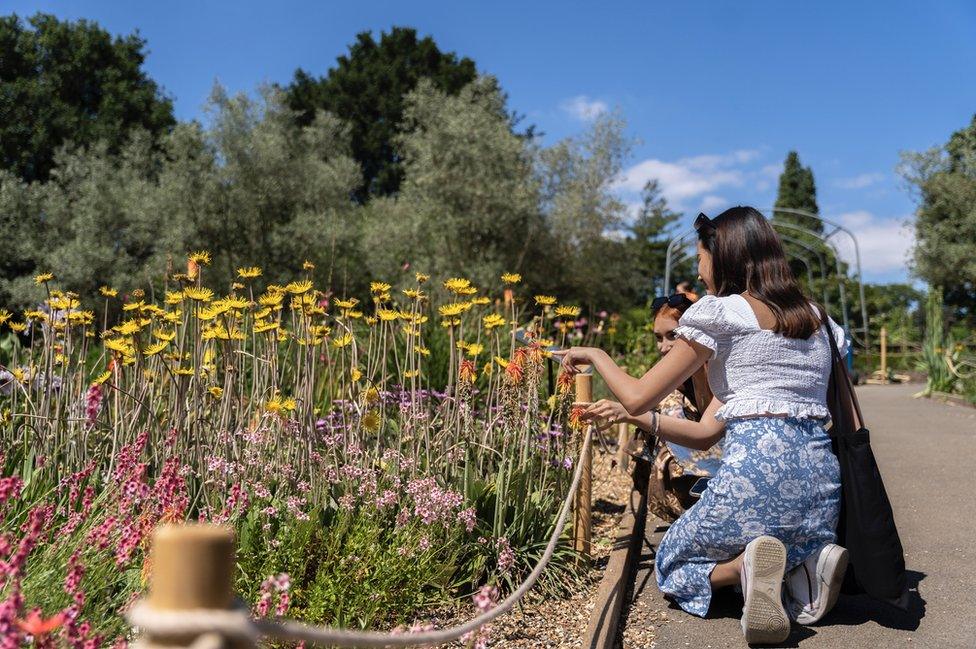 Two women in the Horniman Gardens