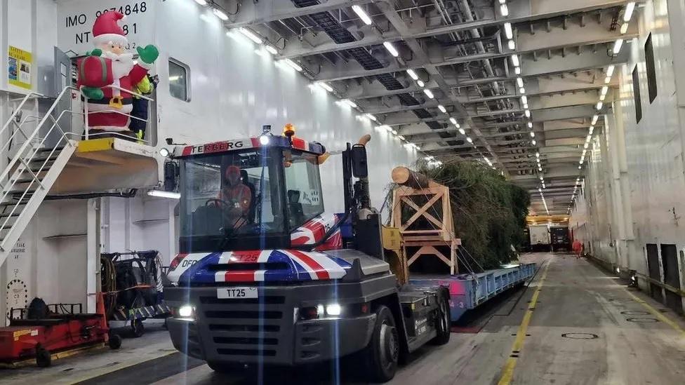 Tree on boat on the way to Britain