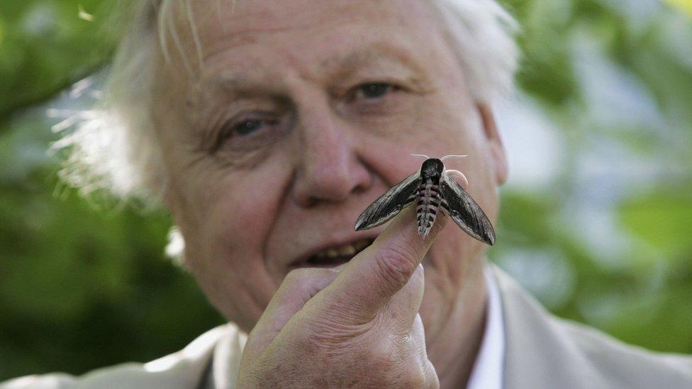 David Attenborough