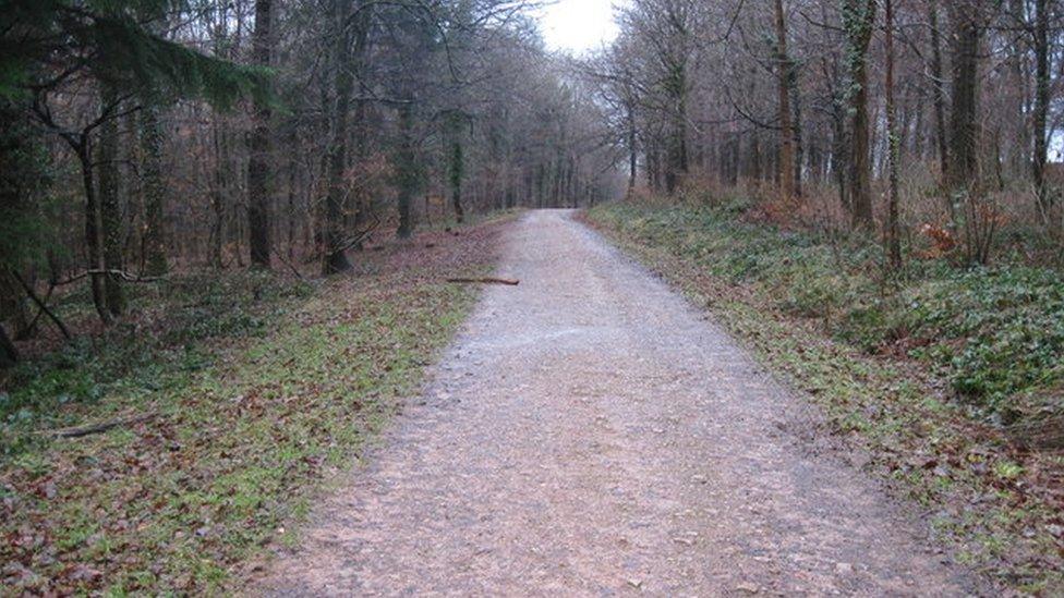 A track at Fforest Fawr