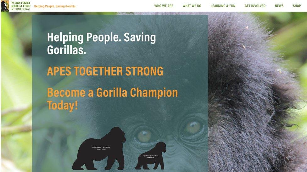 A screen grab of The Dian Fossey Gorilla Fund