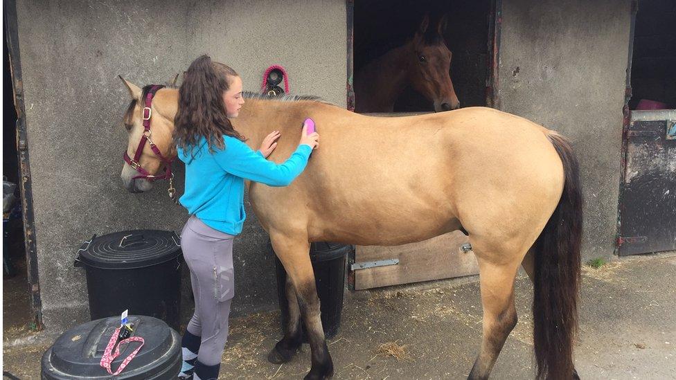 A girl grooming a horse