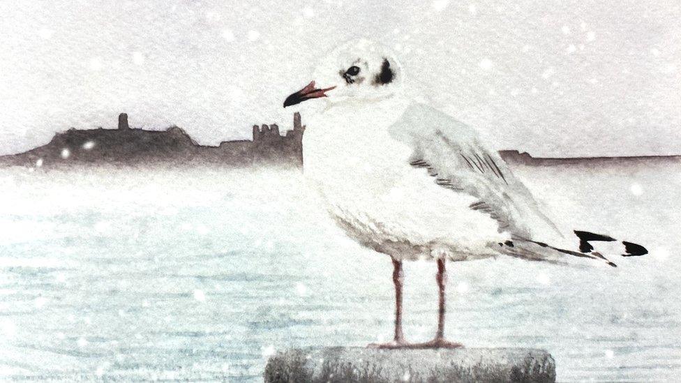 Painting of herring gull by Clare Payne