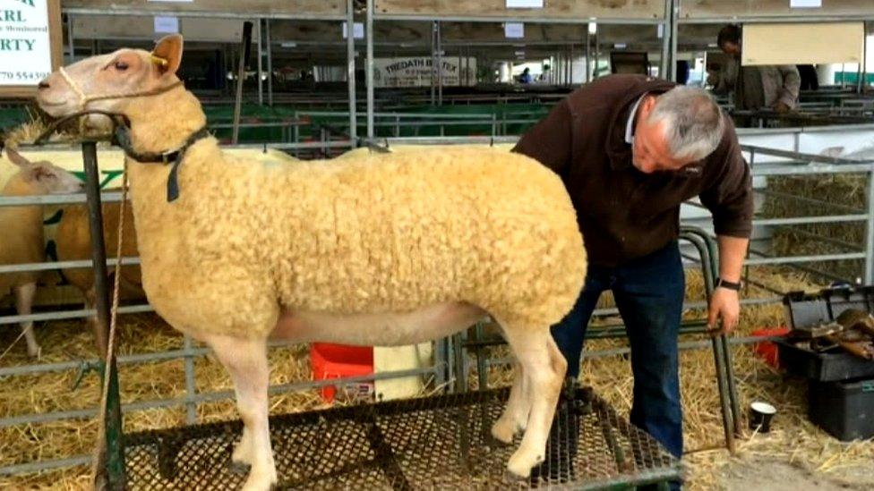 Preparations are taking place for the Great Yorkshire Show 2016