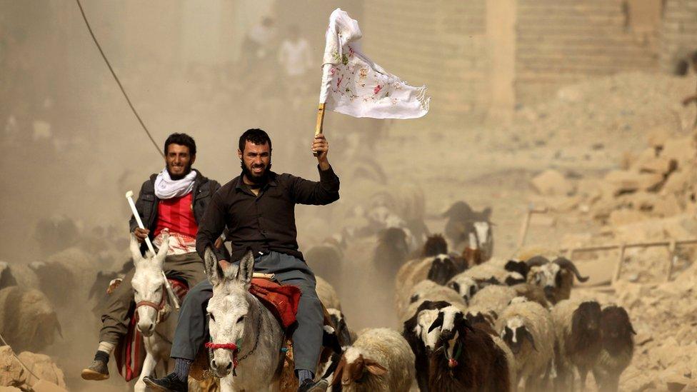 Iraqi men wave white flags as they ride donkeys towards special forces troops in Bazwaya, east of Mosul (1 November 2016)