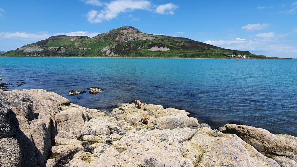 Holy Isle from Kingscross Point.