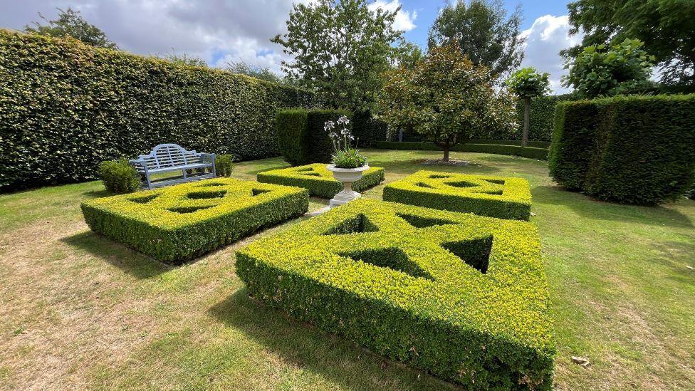 Hedges in a criss cross pattern on a mowed lawn.
