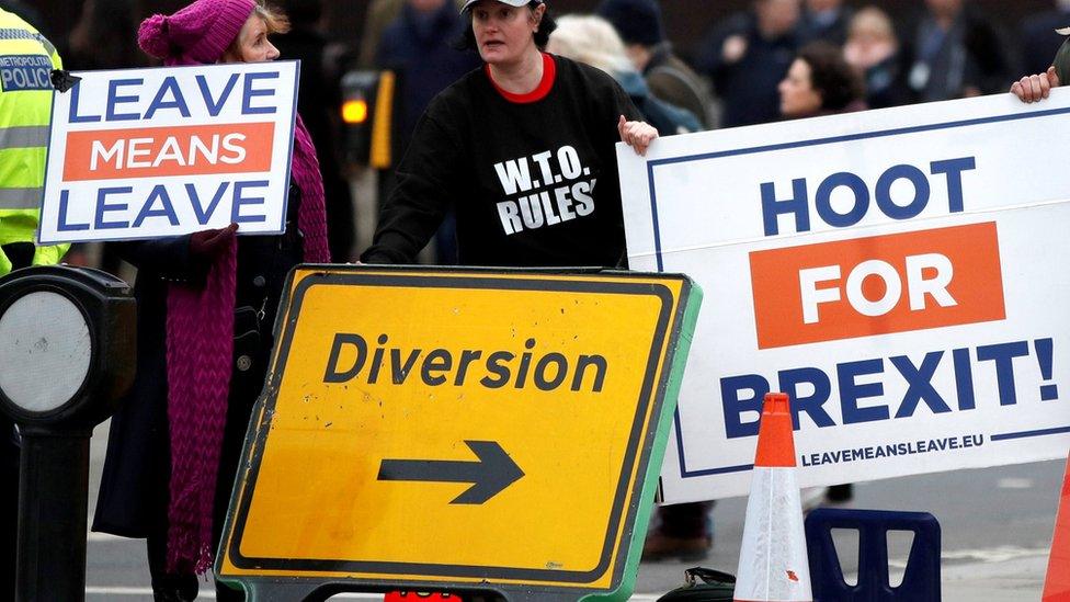 Leave protesters outside Parliament