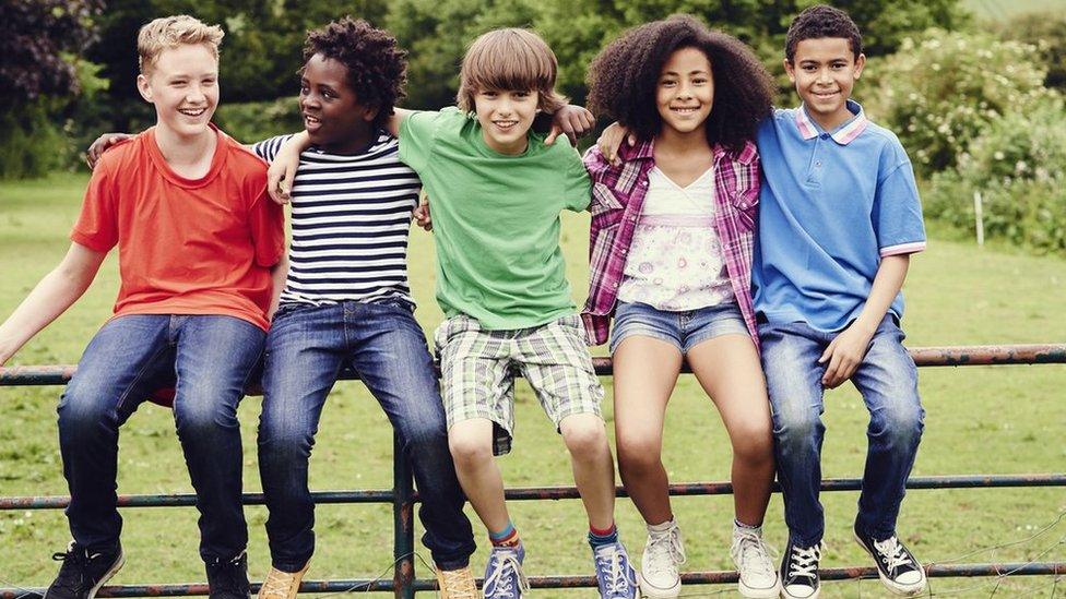 Kids on a fence