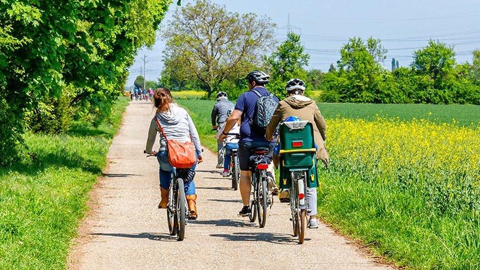 Cyclists on a cycle route