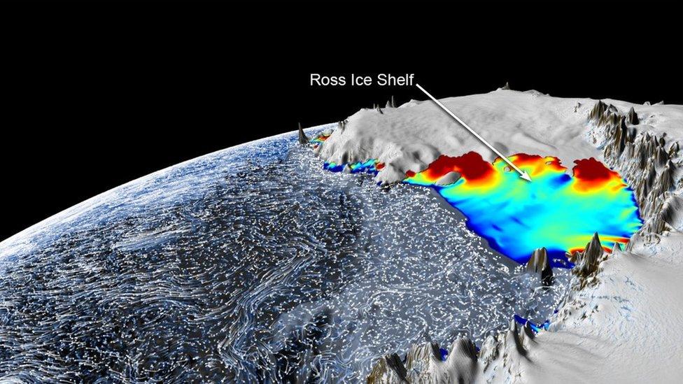 Ross Ice Shelf