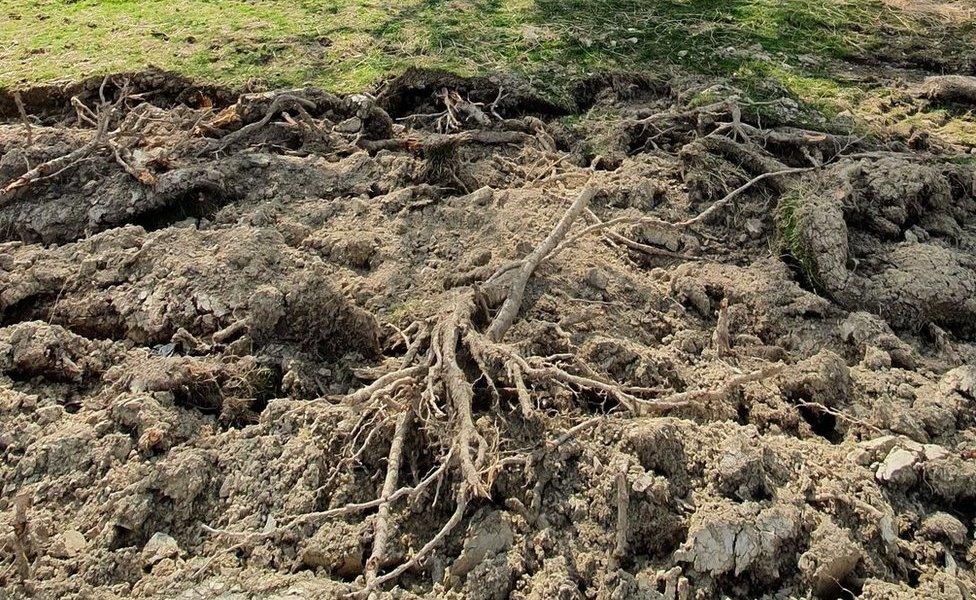 The mistakenly ploughed field