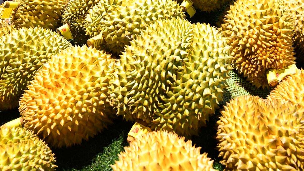 Durian fruit