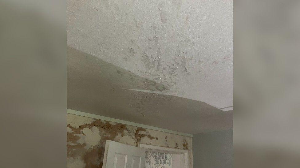 Water drips from a white ceiling in a flat. The wall in the room has seen better days following the leak, and looks half plastered. The internal door out of the room is open.