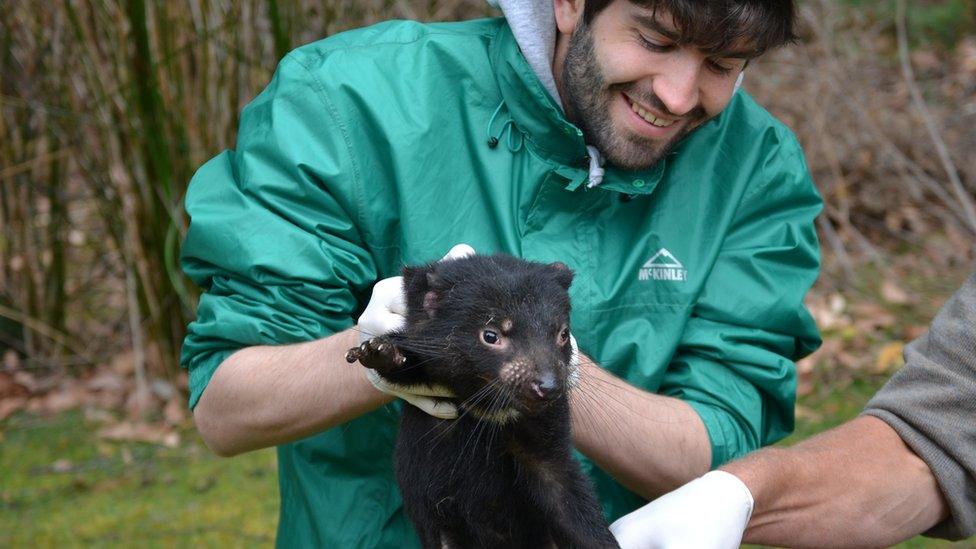 Dr Max Stammnitz holding a devil