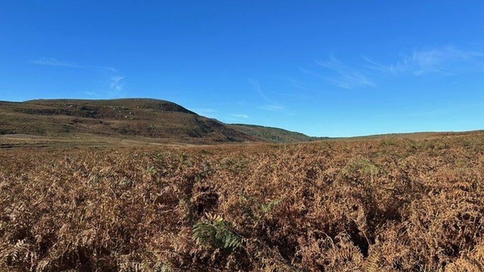 Simonside Hills