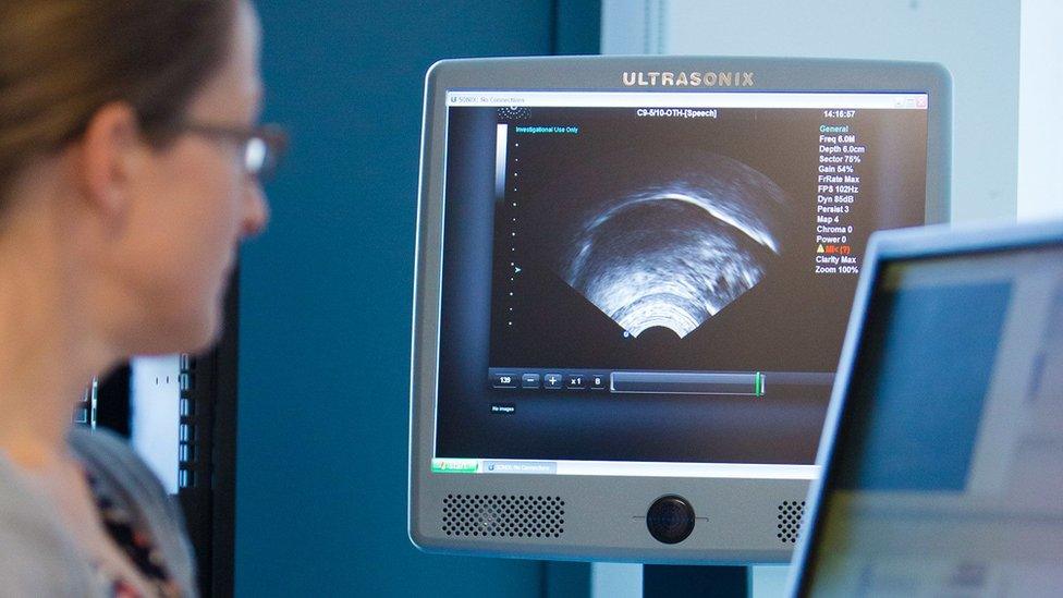 Researcher looking at ultrasound recording of a tongue