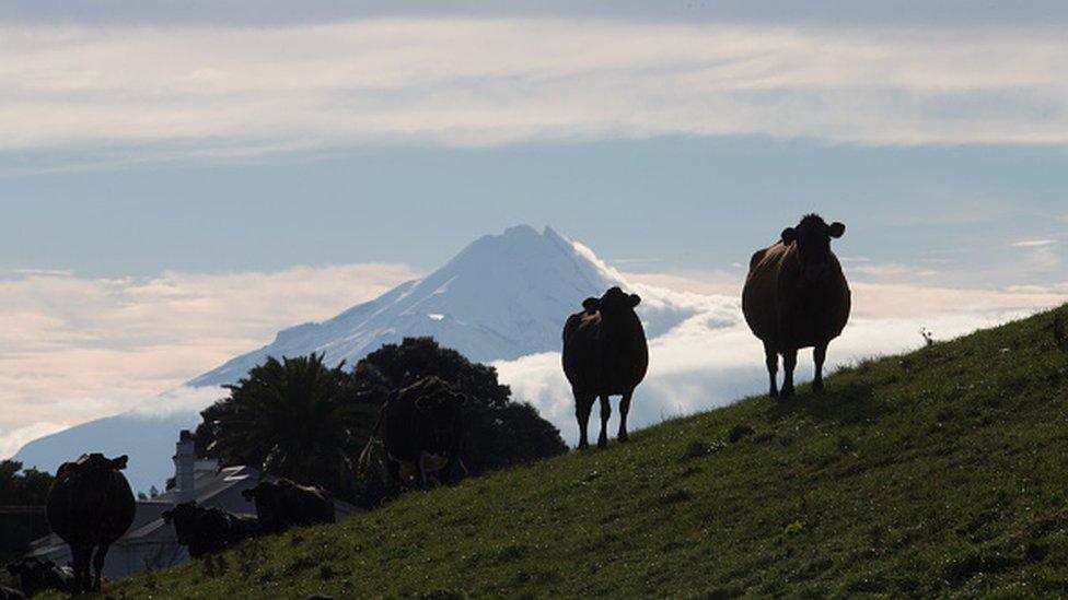 Taranaki, New Zealand