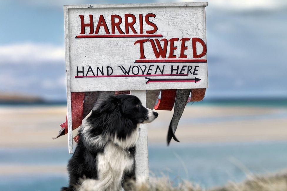 Harris Tweed exhibition image