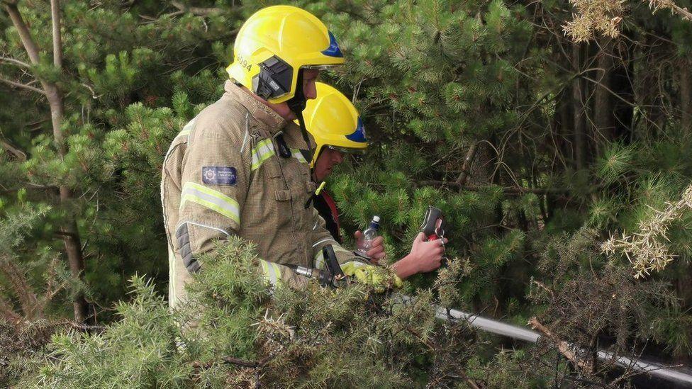 Two firefighters in beige uniforms with yellow helmets holding a hose with a water jet dousing the fire in trees