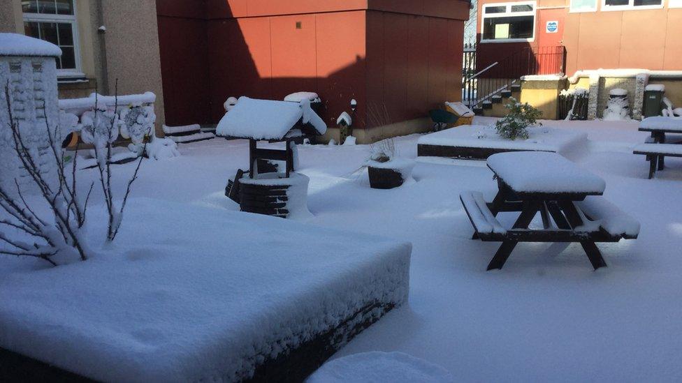snowy pic