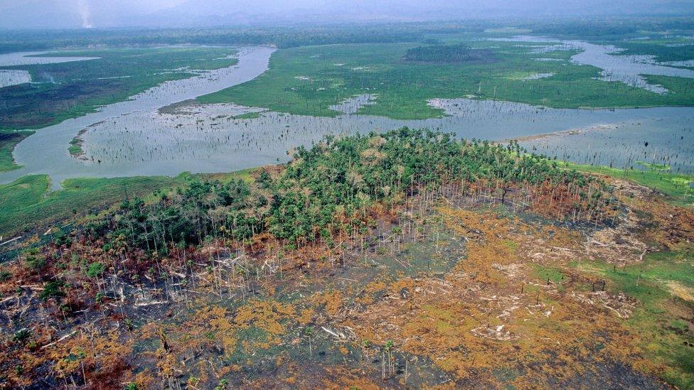 Deforestation in Panama