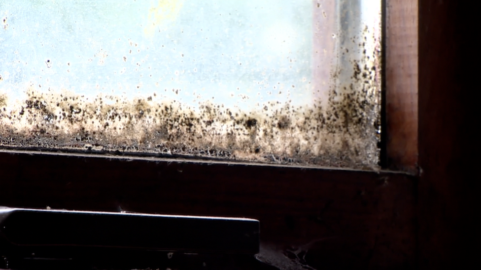 Mould on a window in he woman's home in Ballymena