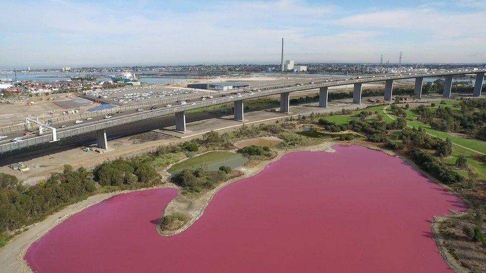 A salt lake in Melbourne which has temporarily turned pink