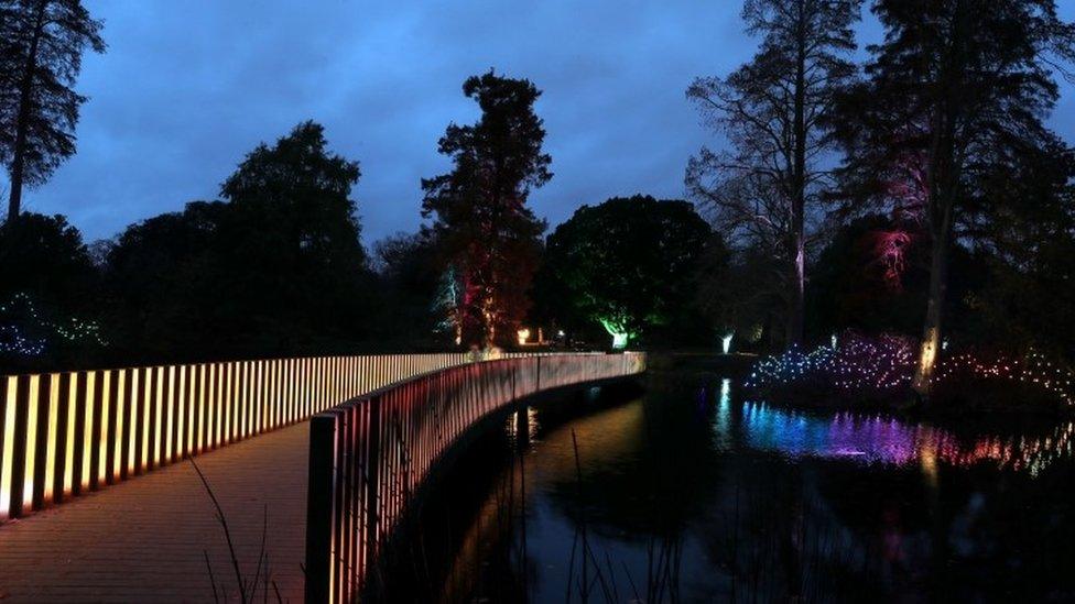 A view of part of the illuminated trail through Kew's after-dark landscape.