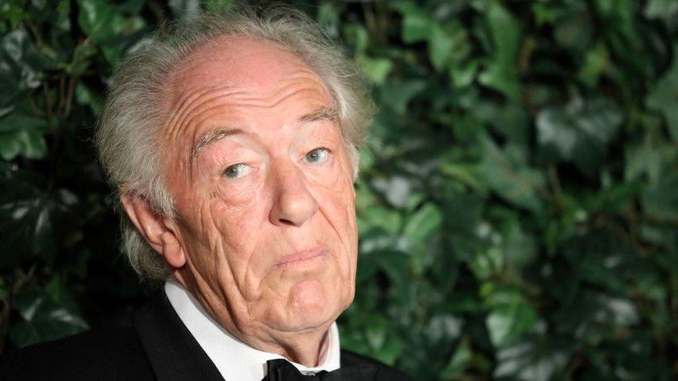 Sir Michael Gambon