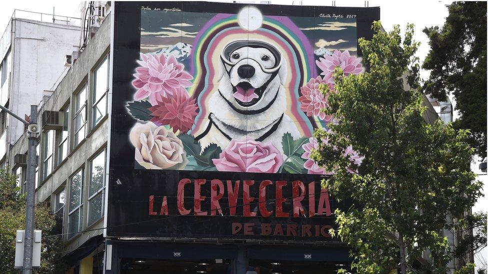 View of a large mural paint (R) in honour to Frida, the Mexican Navy's rescue dog in Mexico City on October 10, 201