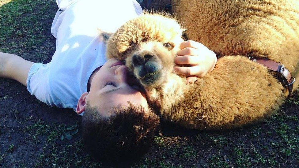 Matt with his alpaca.