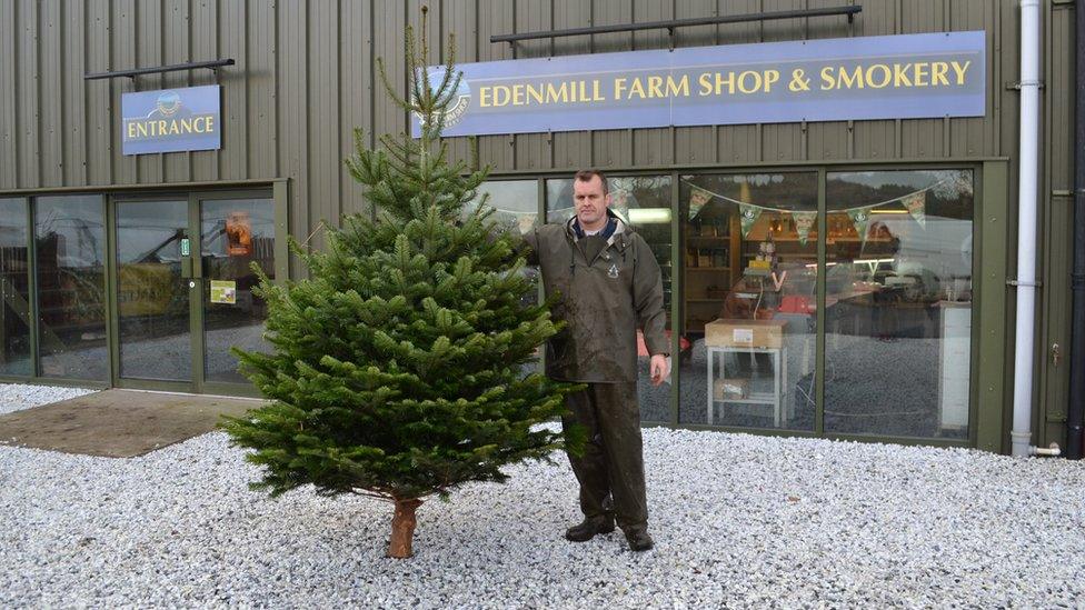 Mark Gibson from Edenmill farm says Christmas trees provide extra business in the winter months