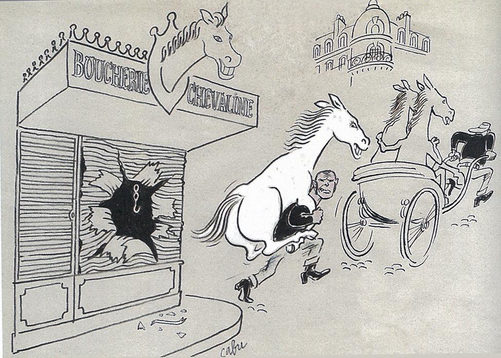 Dancing with horses - BBC News