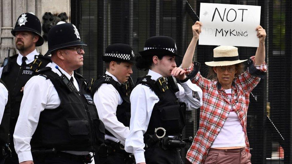 A demonstrator outside the Palace of Westminster