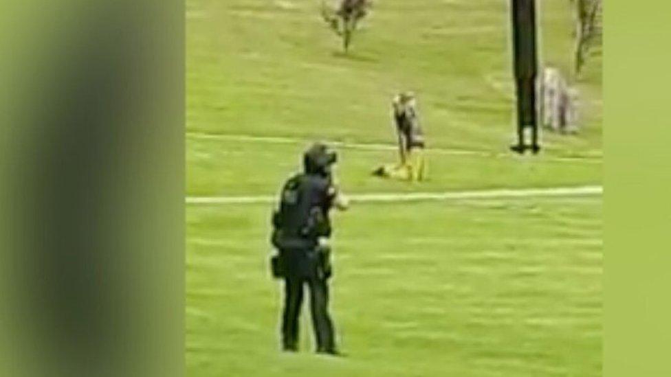 Armed police officer arrest man at Cwmdonkin Park